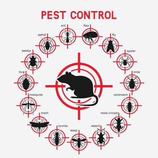 Pest Control Solutions product examples